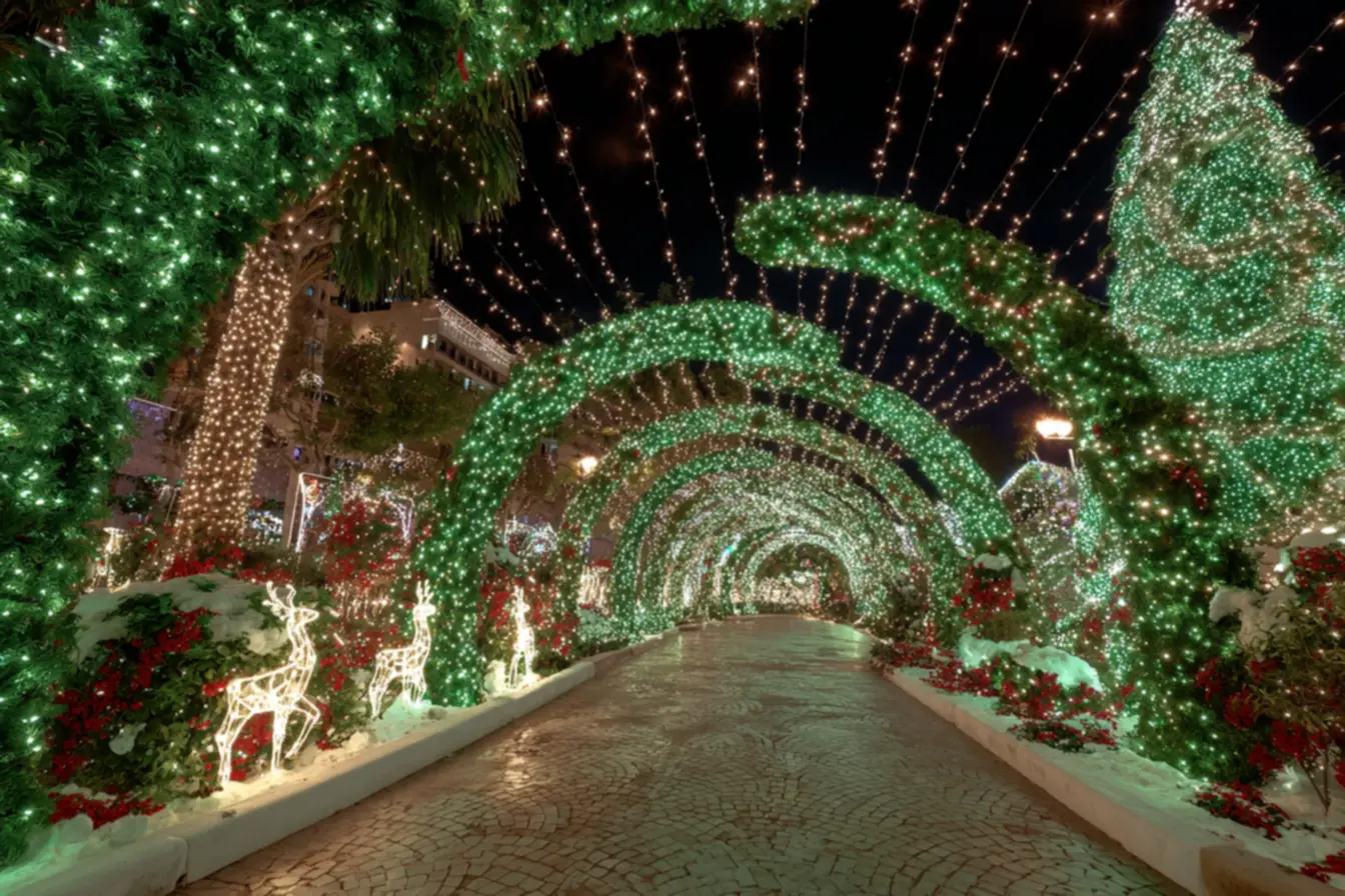 Decoração de natal no jardim com luzes e enfeites coloridos
