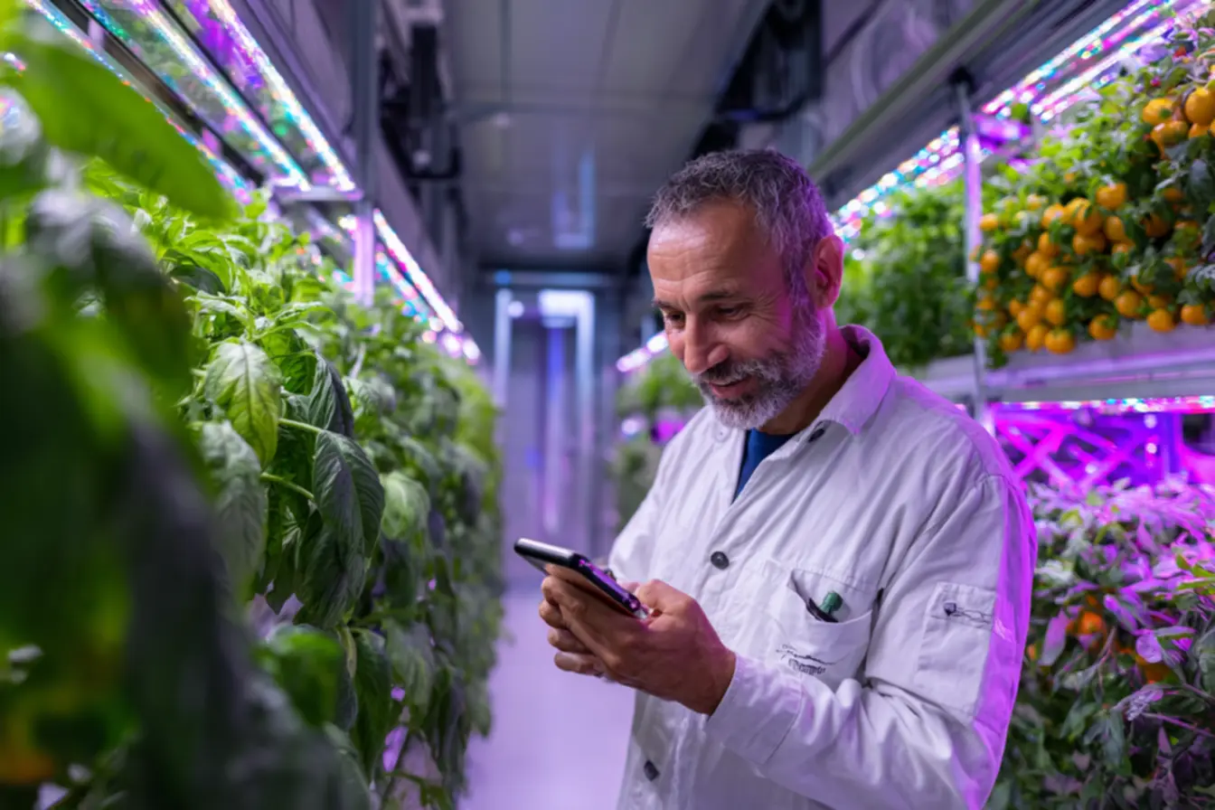 Cultivo otimizado de nano banana através da tecnologia Gemini