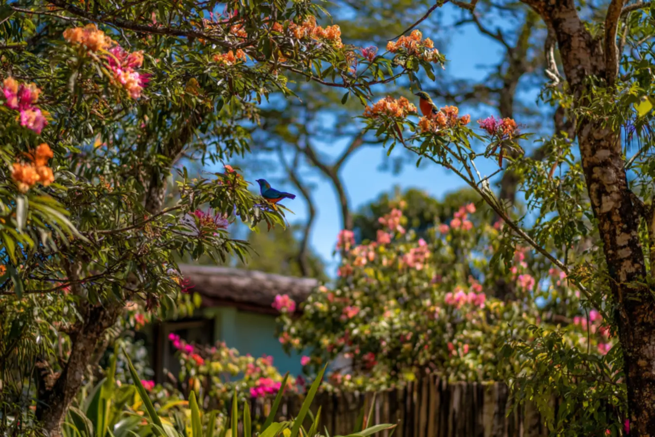 Limoeiro em vaso: charme e praticidade para pequenos espaços