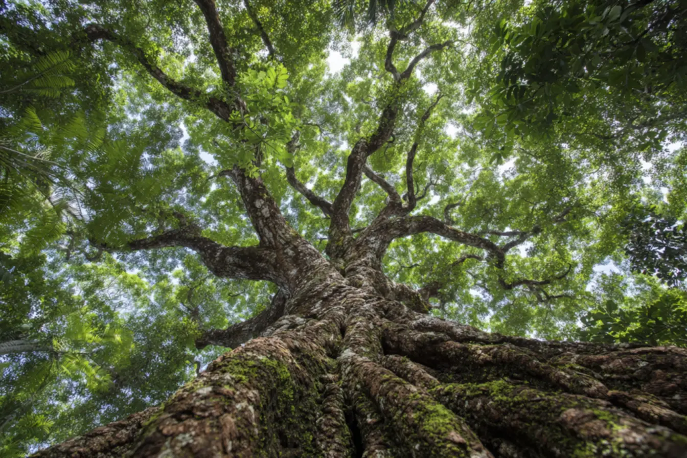 Biodiversidade abrigada pelas árvores centenárias