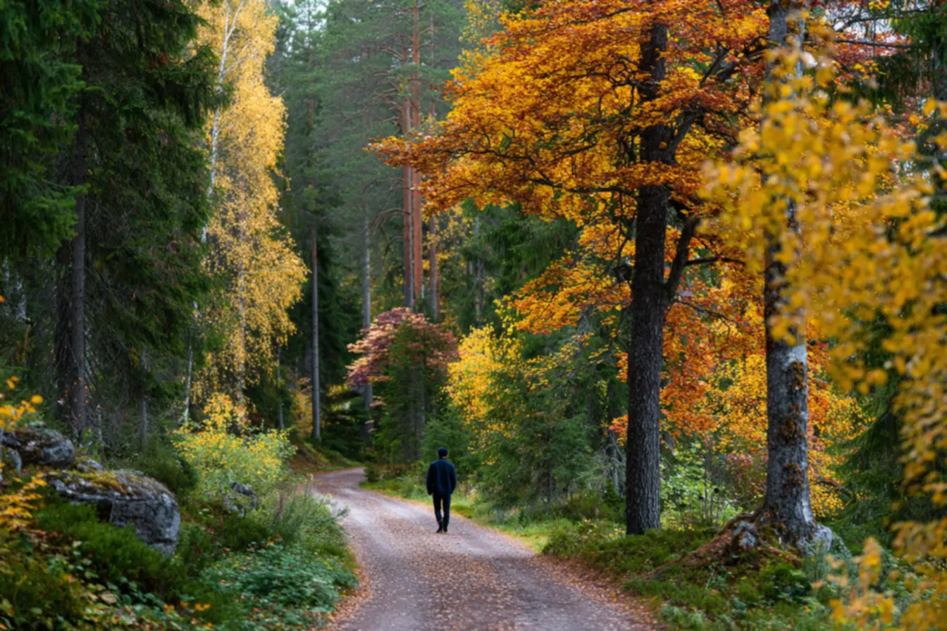 Brasileiros descobrindo a qualidade de vida e a felicidade na Finlândia