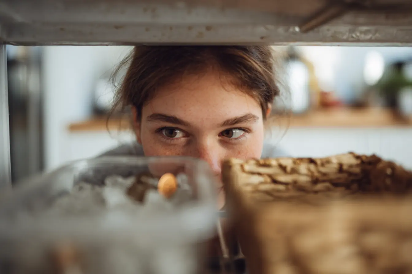 Colocar uma moeda no congelador antes da viagem: entenda como isso pode proteger seu orçamento