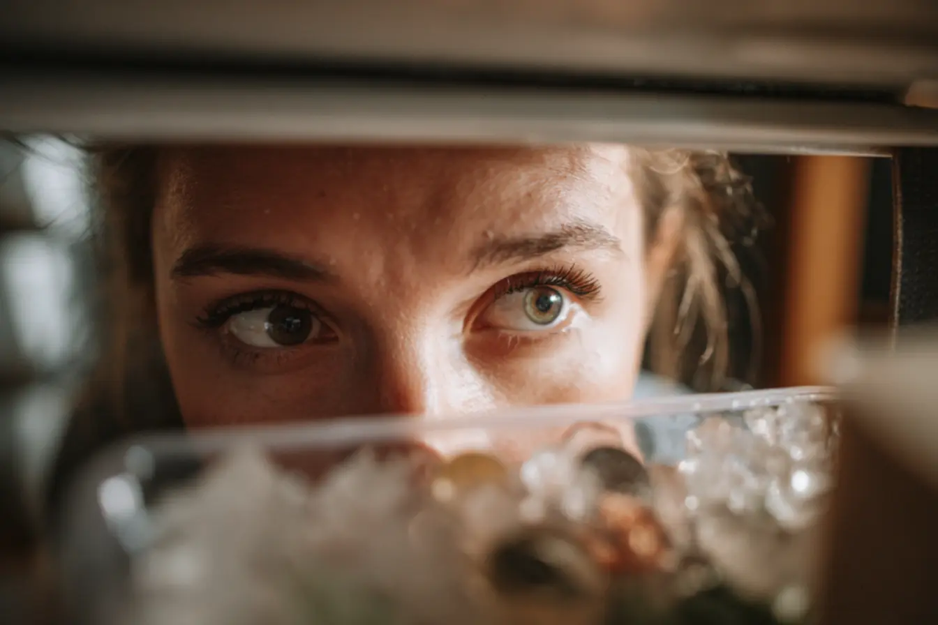 Truque da moeda no congelador para saber se os alimentos descongelaram na viagem