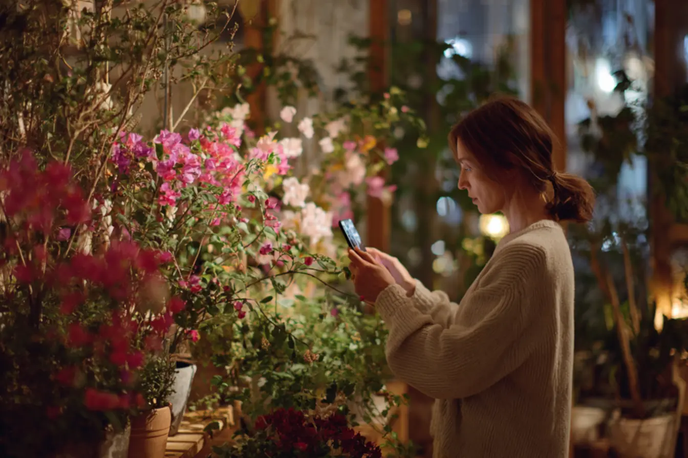 método eficaz para flor-de-maio florescer no inverno com muitos botões florais